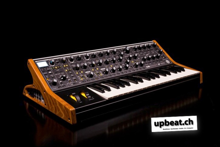 Moog Subsequent 37