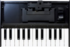 Roland Boutique K-25m